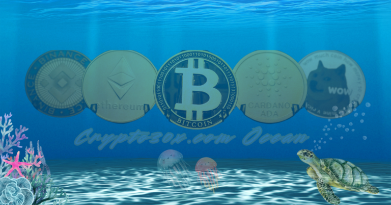 Crypto30x.com Ocean